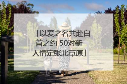 以爱之名共赴白首之约 50对新人情定张北草原