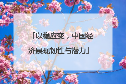 以稳应变，中国经济展现韧性与潜力