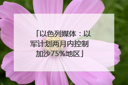 以色列媒体：以军计划两月内控制加沙75%地区