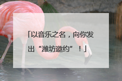 以音乐之名，向你发出“潍坊邀约”！