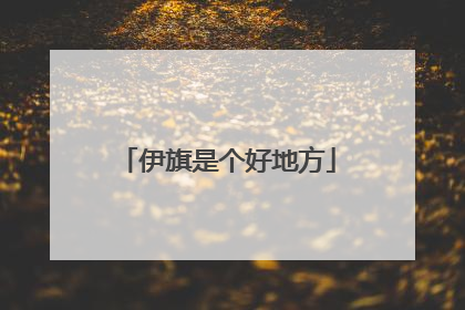 伊旗是个好地方