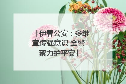 伊春公安：多维宣传强意识 全警聚力护平安