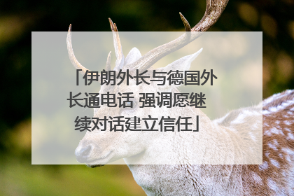 伊朗外长与德国外长通电话 强调愿继续对话建立信任