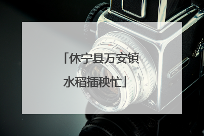 休宁县万安镇水稻插秧忙