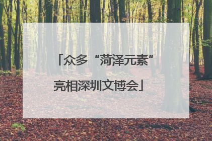 众多“菏泽元素”亮相深圳文博会