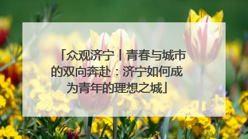 众观济宁丨青春与城市的双向奔赴：济宁如何成为青年的理想之城