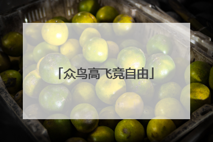众鸟高飞竞自由