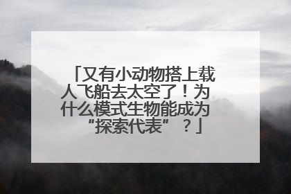 又有小动物搭上载人飞船去太空了！为什么模式生物能成为“探索代表”？