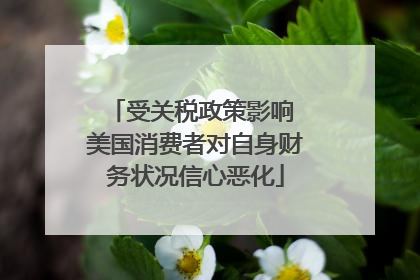 受关税政策影响 美国消费者对自身财务状况信心恶化
