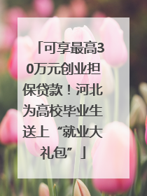 可享最高30万元创业担保贷款！河北为高校毕业生送上“就业大礼包”