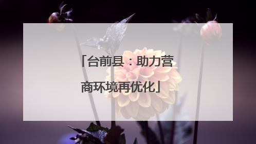 台前县：助力营商环境再优化