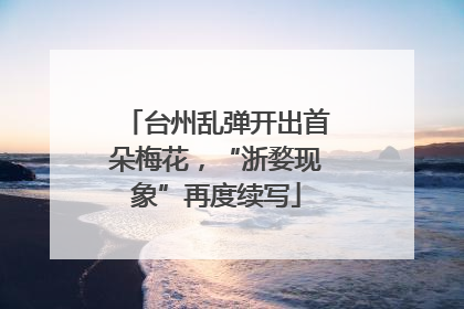 台州乱弹开出首朵梅花，“浙婺现象”再度续写
