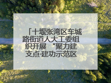 十堰张湾区车城路街道人大工委组织开展 “聚力建支点·建功示范区”代表行动