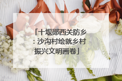 十堰郧西关防乡：沙沟村绘就乡村振兴文明画卷