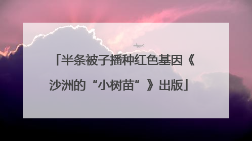 半条被子播种红色基因《沙洲的“小树苗”》出版