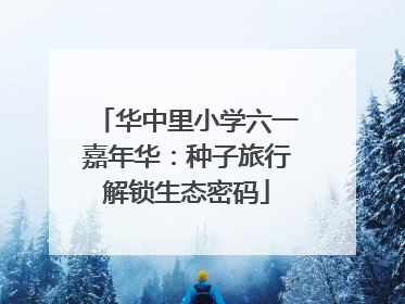 华中里小学六一嘉年华：种子旅行解锁生态密码