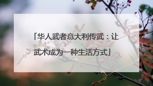 华人武者意大利传武：让武术成为一种生活方式