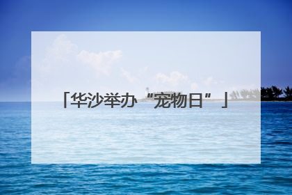 华沙举办“宠物日”