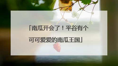 南瓜开会了！平谷有个可可爱爱的南瓜王国