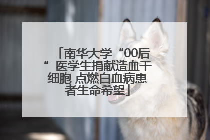 南华大学“00后”医学生捐献造血干细胞 点燃白血病患者生命希望