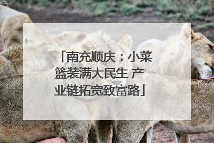 南充顺庆：小菜篮装满大民生 产业链拓宽致富路