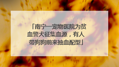 南宁一宠物医院为贫血警犬征集血源，有人带狗狗前来抽血配型