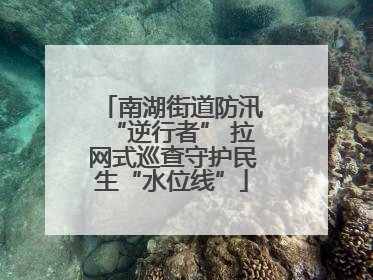 南湖街道防汛“逆行者” 拉网式巡查守护民生“水位线”