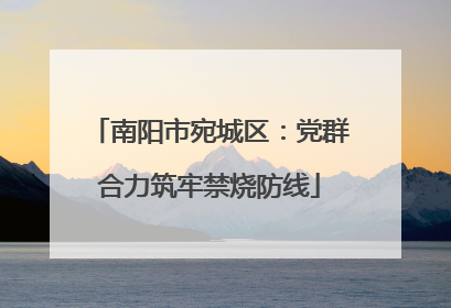 南阳市宛城区：党群合力筑牢禁烧防线