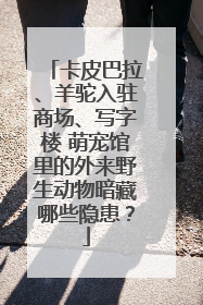 卡皮巴拉、羊驼入驻商场、写字楼 萌宠馆里的外来野生动物暗藏哪些隐患？