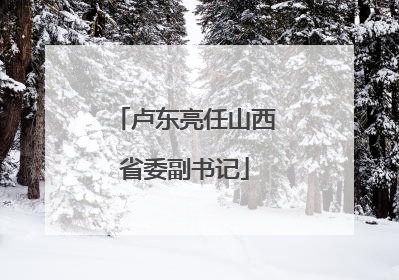 卢东亮任山西省委副书记