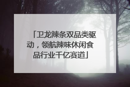 卫龙辣条双品类驱动，领航辣味休闲食品行业千亿赛道