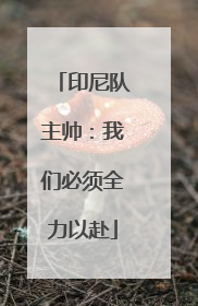 印尼队主帅：我们必须全力以赴