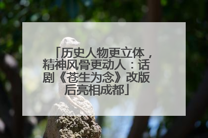 历史人物更立体，精神风骨更动人：话剧《苍生为念》改版后亮相成都