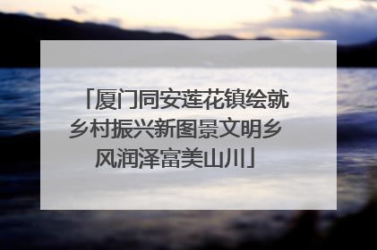 厦门同安莲花镇绘就乡村振兴新图景文明乡风润泽富美山川