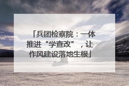 兵团检察院：一体推进“学查改”，让作风建设落地生根