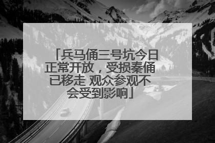 兵马俑三号坑今日正常开放，受损秦俑已移走 观众参观不会受到影响