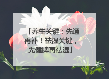 养生关键：先通再补！祛湿关键，先健脾再祛湿