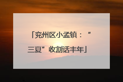 兖州区小孟镇：“三夏”收割话丰年