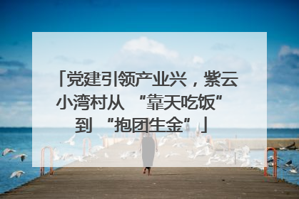 党建引领产业兴，紫云小湾村从 “靠天吃饭” 到 “抱团生金”