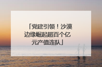 党建引领！沙漠边缘崛起超百个亿元产值连队