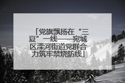 党旗飘扬在“三夏”一线——宛城区溧河街道党群合力筑牢禁烧防线