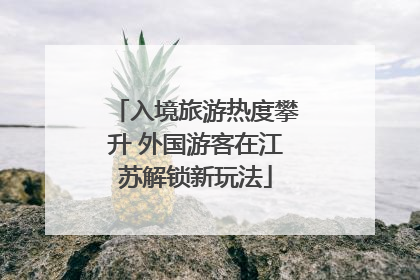 入境旅游热度攀升 外国游客在江苏解锁新玩法