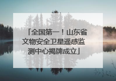 全国第一！山东省文物安全卫星遥感监测中心揭牌成立