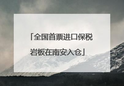 全国首票进口保税岩板在南安入仓