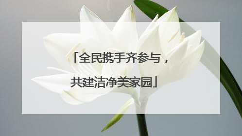 全民携手齐参与，共建洁净美家园