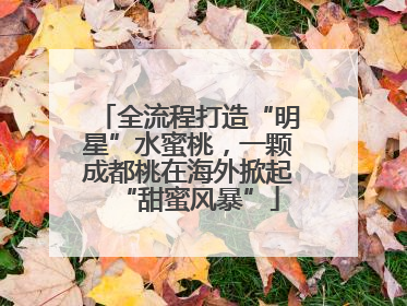 全流程打造“明星”水蜜桃，一颗成都桃在海外掀起“甜蜜风暴”