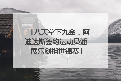 八天拿下九金，阿迪达斯签约运动员潘展乐剑指世锦赛