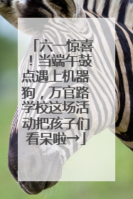 六一惊喜！当端午鼓点遇上机器狗，万官路学校这场活动把孩子们看呆啦→