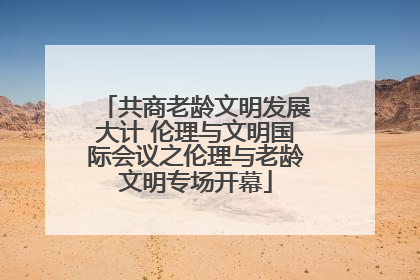 共商老龄文明发展大计 伦理与文明国际会议之伦理与老龄文明专场开幕