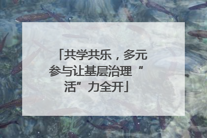 共学共乐，多元参与让基层治理“活”力全开